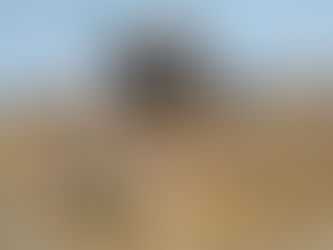 DEJA VOLCADURA UNA PERSONA LESIONADA