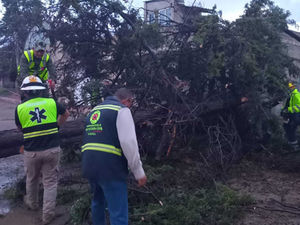 CEPC ATIENDE AFECTACIONES POR FUERTES LLUVIAS EN TLAXCALA