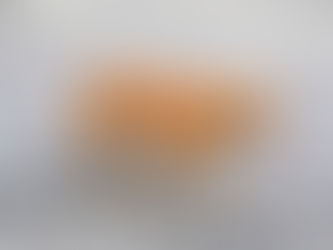 INICIATIVA POLÉMICA ANTE FALTA DE APLICACIÓN DE POLÍTICAS PARA ANIMALES EN SITUACIÓN DE CALLE