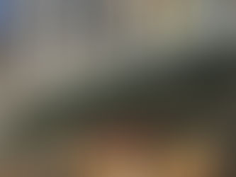 SE PRESENTA CON GRAN ÉXITO LA OBRA “bioLUX LUCIÉRNAGAS DE MÉXICO” EN EUROPA