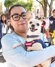 EL CUIDADO DE LOS ANIMALES REQUIERE DEL COMPROMISO DEL GOBIERNO, DE LAS FAMILIAS Y DE LA SOCIEDAD: SÁNCHEZ