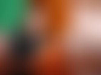 PROPONE SORAYA BOCARDO CREAR LA FISCALÍA ESPECIALIZADA EN DELITOS CONTRA LOS ANIMALES EN EL ESTADO DE TLAXCALA