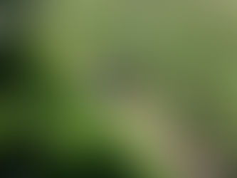 ULTIMAN A SUJETOS EN NANACAMILPA