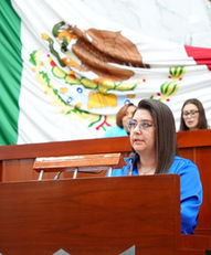 PLANTEA SORAYA NOEMI BOCARDO GARANTIZAR PENSIONES ALIMENTICIAS CON BASE EN NECESIDADES REALES Y VIDA DIGNA