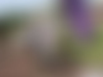 PARTICIPAN 200 ATLETAS EN LA CUARTA CARRERA DEL SERIAL TLAXCALLAN