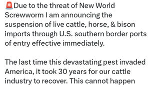 USA SUSPENDE IMPORTACIONES EN LA FRONTERA CON MÉXICO POR GUSANO BARRENADOR 