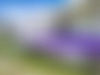 ICATLAX LLEVA APRENDIZAJE A TODOS LOS RINCONES DEL ESTADO