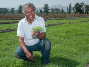 “LISTO EL ABASTO DE ROMERITOS LA CENA DE NAVIDAD Y AÑO NUEVO”: SADER