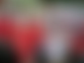 VERACRUZ PRIORIDAD PARA PRI Y LO VAMOS A GANAR: ALEJANDRO MORENO