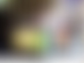 INICIA SECTOR SALUD CAMPAÑA DE VACUNACIÓN ANTIRRÁBICA CANINA Y FELINA