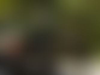 “MARTES SE VOTARÁ DICTAMEN PARA AMPLIAR PLAZO DE FUERZAS ARMADAS EN SEGURIDAD PÚBLICA”: MONREAL