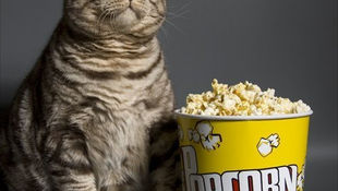 EL TOP 7 PELÍCULAS  DEL PASADO PARA PASAR LA NAVIDAD