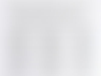 LORENA CUÉLLAR Y GOBERNADORES 4T CALIFICAN DE EXITOSO EL ENCUENTRO AMLO-BIDEN