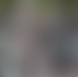 LA EMOCIÓN DEL MUNDIAL SE VIVIÓ EN TLAXCALA EN UN AMBIENTE FAMILIAR Y CON SALDO BLANCO