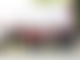 COBAT FUE SEDE DE LA OLIMPIADA MEXICANA DE MATEMÁTICAS 2023 ETAPA ESTATAL