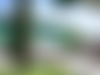 ESTUDIANTES SUFREN INTOXICACIÓN POR INGESTA DE CAFEÍNA EN PANOTLA