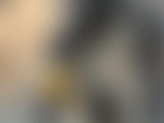 EXHORTA GOBIERNO DEL ESTADO A CUIDAR A LOS ANIMALES ANTE OLA DE CALOR