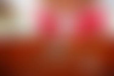 IMPULSA ANEL MARTÍNEZ REFORMA PARA FORTALECER PARTICIPACIÓN DE MUJERES RURALES EN TLAXCALA