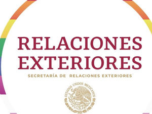 MEX RECONOCE RESPONSABILIDAD INTERNACIONAL DE MECANISMOS DE CONTROL Y RESTRICCIONES DEL ARRAIGO