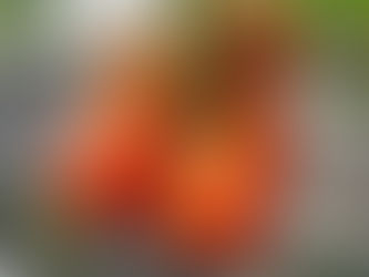 EUA DETERMINÓ 19.09% DE CUOTA COMPENSATORIA O ARANCEL PARA TOMATE MEXICANO 