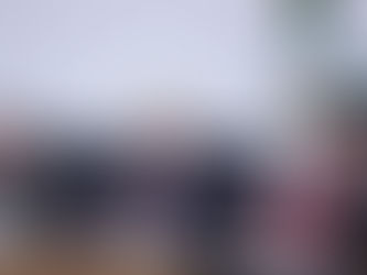 EN CÁMARA DE DIPUTADOS P. T SE VUELVE PRO RUSO