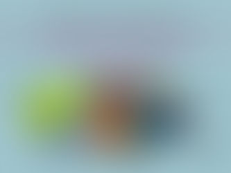 DE ENERO A NOVIEMBRE 2022 INGRESARON A MÉXICO MÁS DE 35 MILLONES DE PERSONAS NACIONALES Y EXTRANJERA