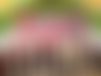 INICIÓ ITJ LAS JORNADAS “JUVENTUDES CERCANAS”