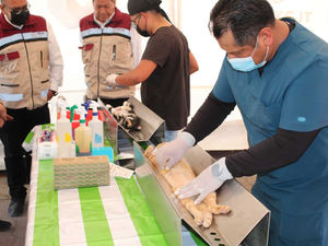 INICIARÁ TLAXCALA JORNADA NACIONAL DE ESTERILIZACIÓN CANINA Y FELINA