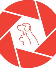 TLAXCALA SE SUMA AL PRIMER ENCUENTRO NACIONAL DE ORGANIZACIONES DE PROTECCIÓN ANIMAL DE LA CODAM