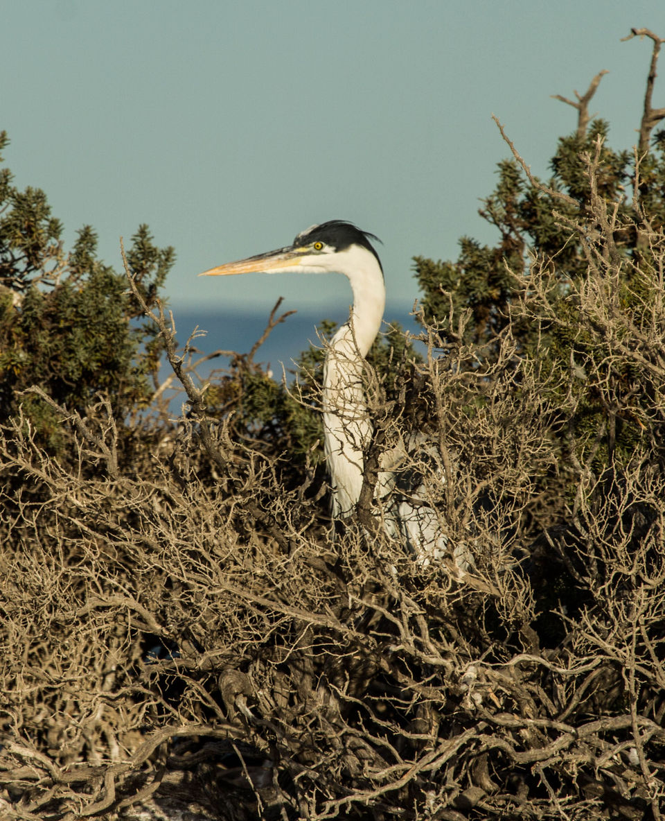 IMG_4929.jpg
