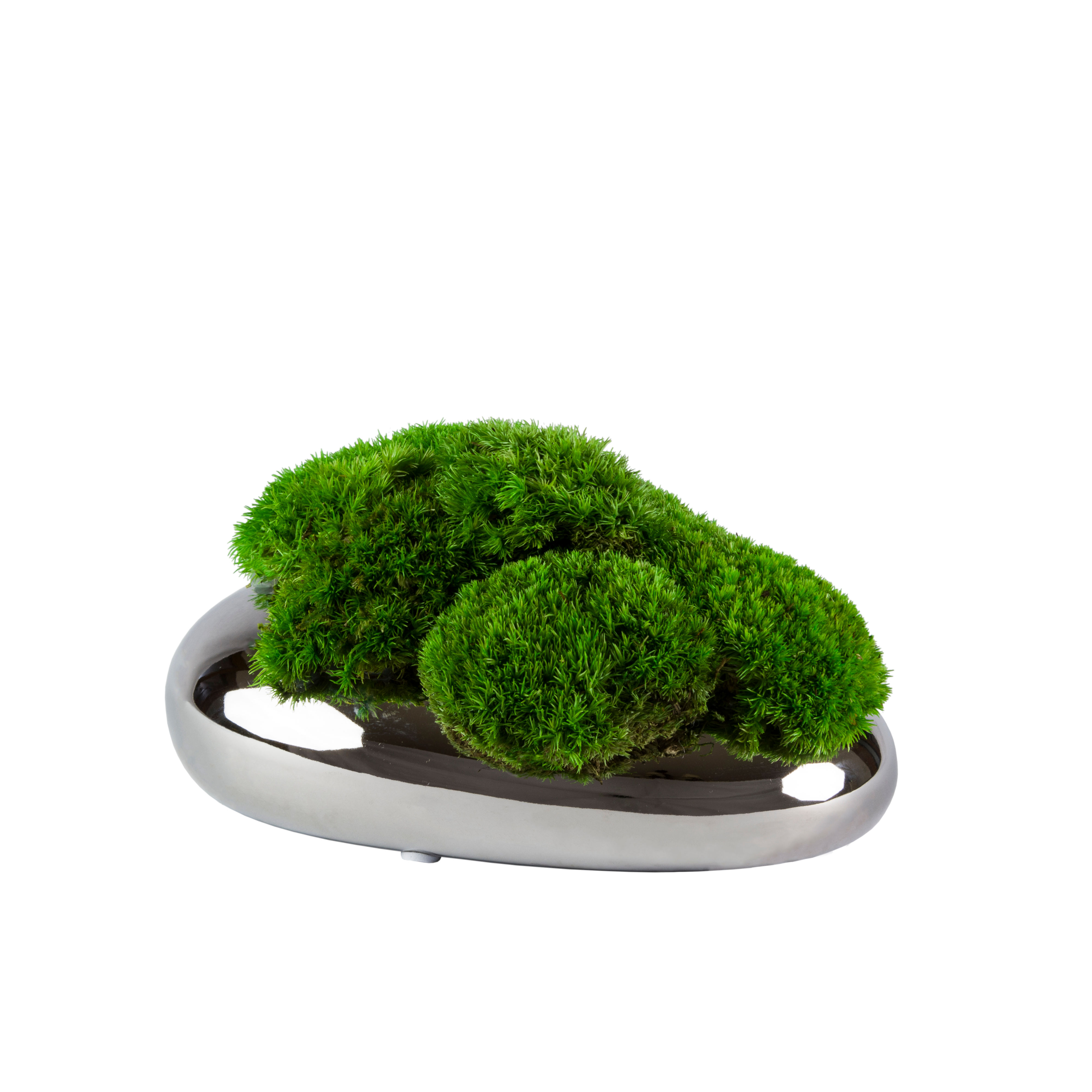 Donica łezka z mchem