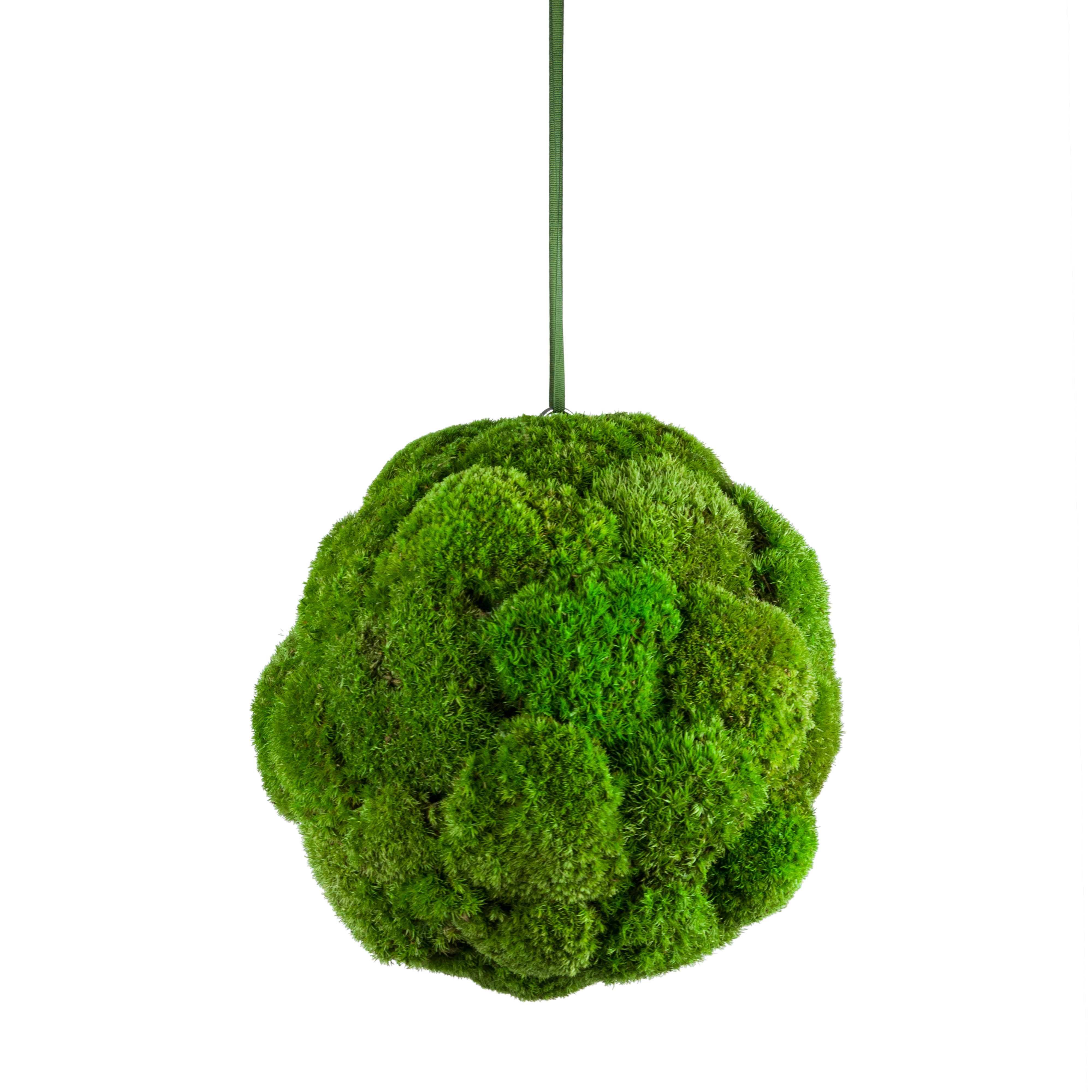 Kula z mchu - 28cm średnicy
