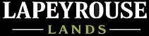 Video logo.png