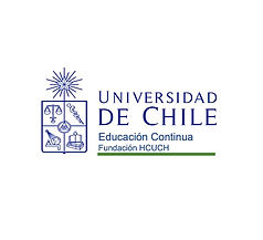 UChile_Fundacion.jpeg