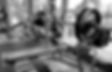 Bench_edited_edited.jpg