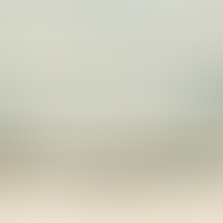 Sint Martin Day: Reflecting on Our Salt Heritage