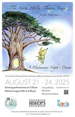 Midsummer Night’s 11 x 17.jpg