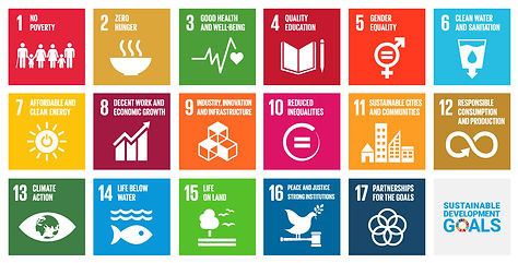 sdgs-grid.jpg
