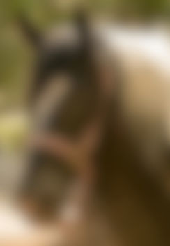 Screenshot 2026-03-06 at 5.15_edited.jpg