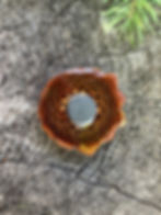 Thumbnail: Knobcone Pinecone Magnet