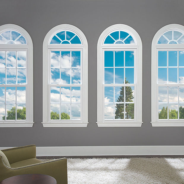 architectural windows.jpg