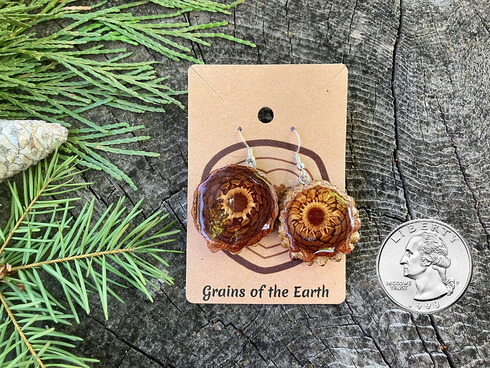 Thumbnail: Earrings - Sanded and finished Front & Back