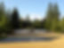 nikon-transfer-1870hockey_1_orig.jpg