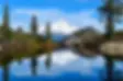 Mount-Shasta.jpg.webp