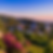 Lush hillside neighborhood in Jamaica at sunset.