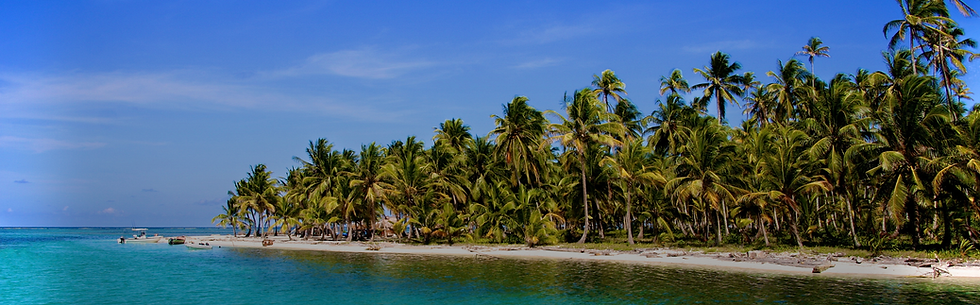 Tropical beach in Panama with palm trees and turquoise water