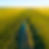 Aerial view of a river through green Queensland plains