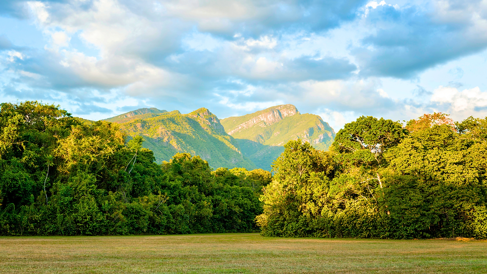 Lush green mountains and forest in Venezuela under a blue sky