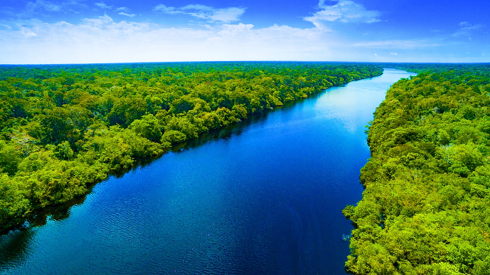 Aerial view of the Amazon River through lush forest in Brazil