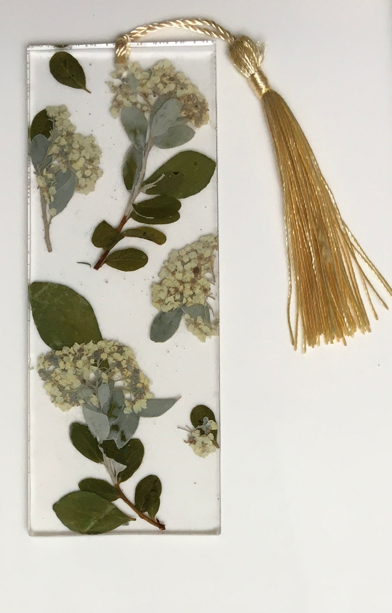 Wide & Large Greenery Bookmark with Beige Tassel